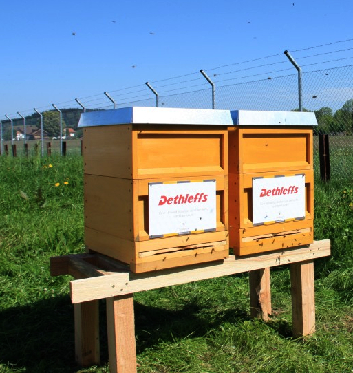 Bienenstöcke Firma Dethleffs Isny