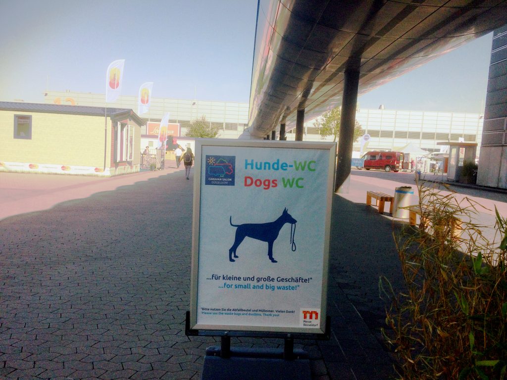 Caravan Salon mit Hund