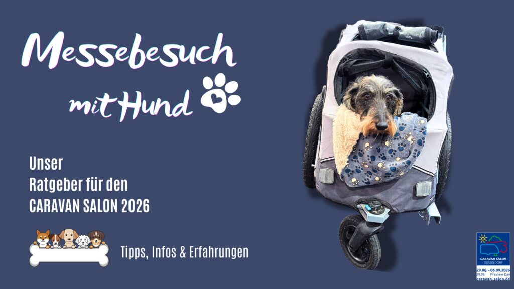 Messebesuch mit Hund - Unser Ratgeber für den CARAVAN SALON 2026
