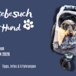 Messebesuch mit Hund - Unser Ratgeber für den CARAVAN SALON 2026 Hund CSD26_1