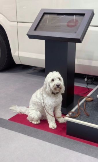 Messebesuch mit Hund - Unser Ratgeber für den CARAVAN SALON 2026