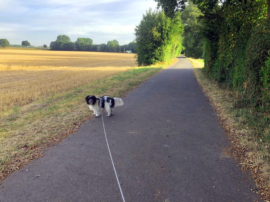 Spaziergang am Caravan Center Düsseldorf