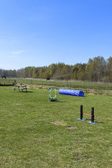 Hundespielwiese Wohnmobilstellplatz Grimsholmen