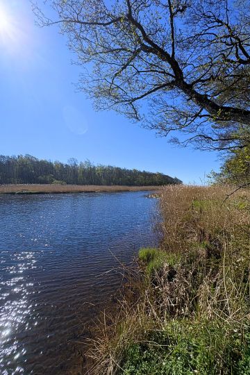 Fluss Suseån in Südschweden