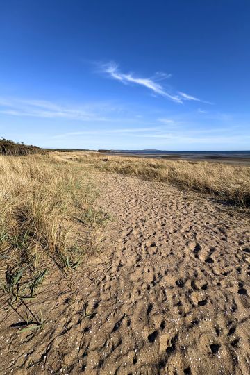 Naturreservat Grimsholmen