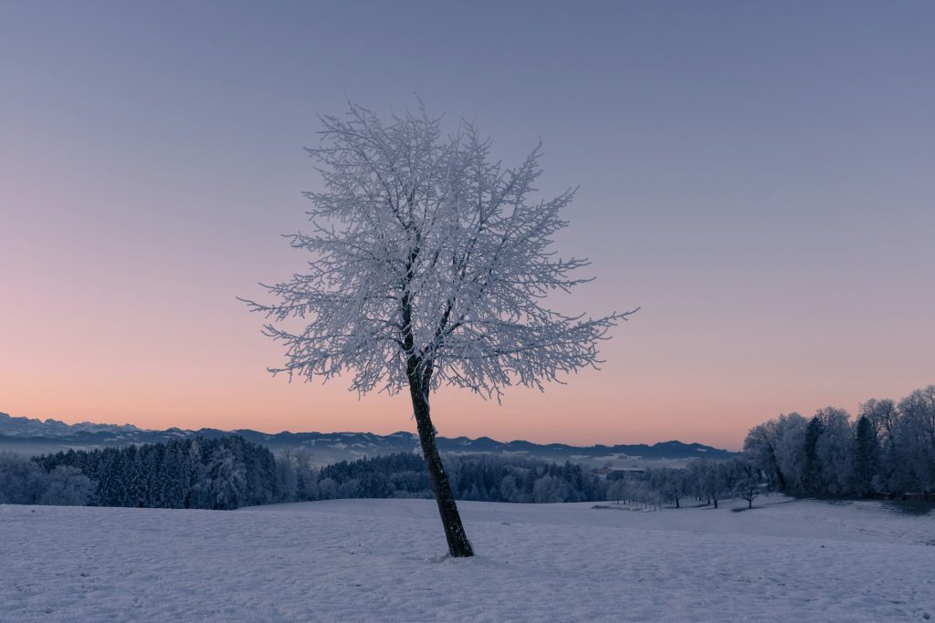 Wohnmobil-Weihnachtsgeschichte 2025