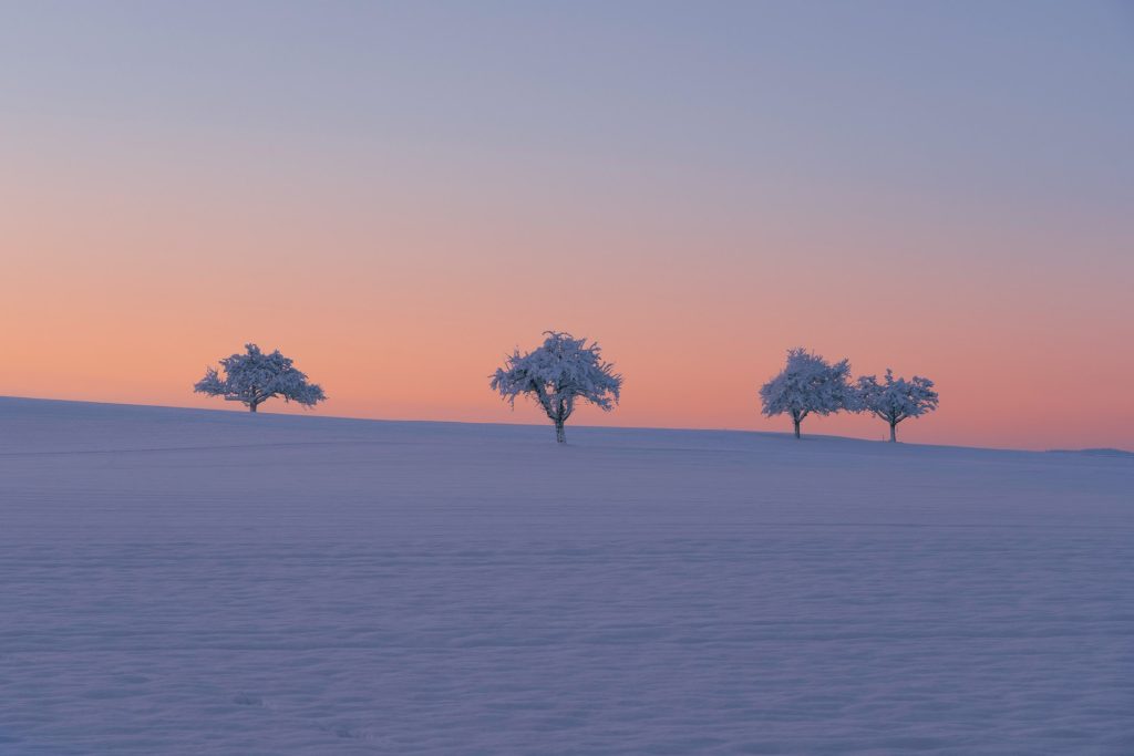 Die Weihnachtsfreunde - Eine besinnliche Geschichte für Camper